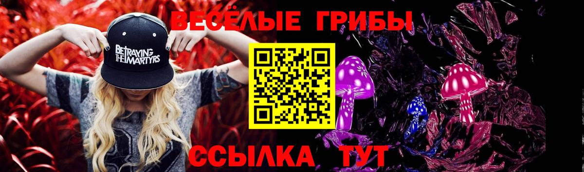 Галлюциногенные грибы Psilocybe  Вход с VPN  Галлюциногенные грибы Psilocybine cubensis  Майский 